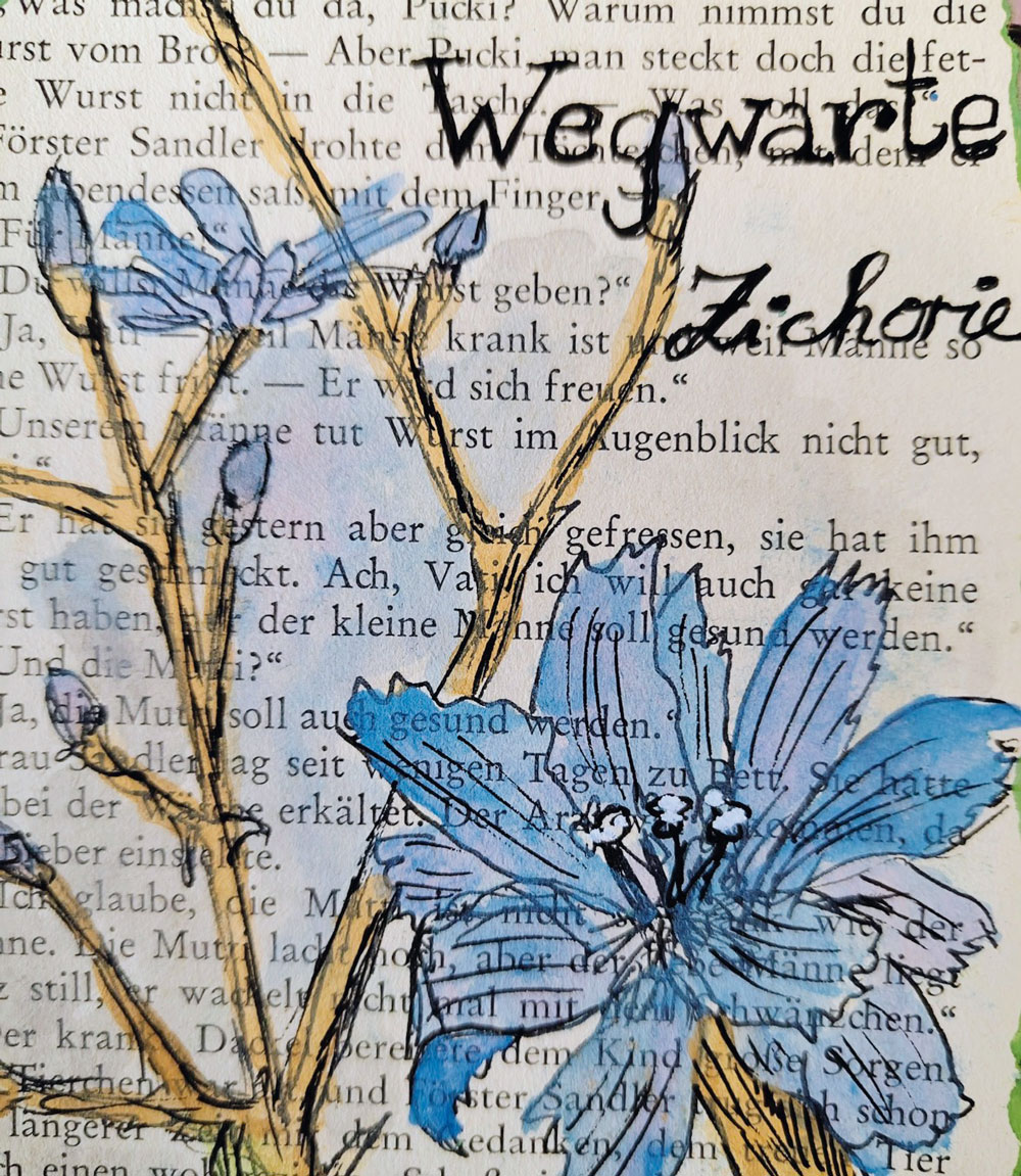Klatschmohn und Wiesenknopf